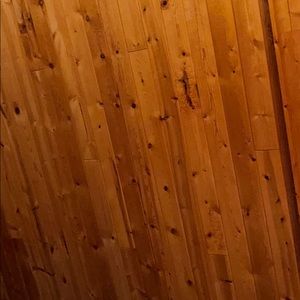 Meet your Posher, Lexi